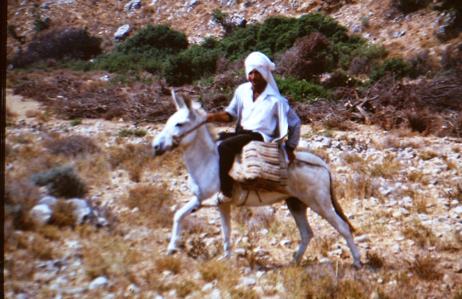 Landscape of Samaria near Nahal Kana